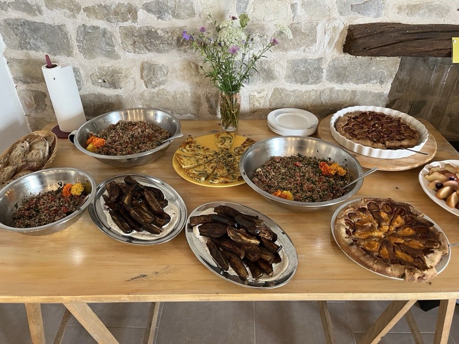 Repas cuisinés ensemble — Stage Construisez votre Royaume