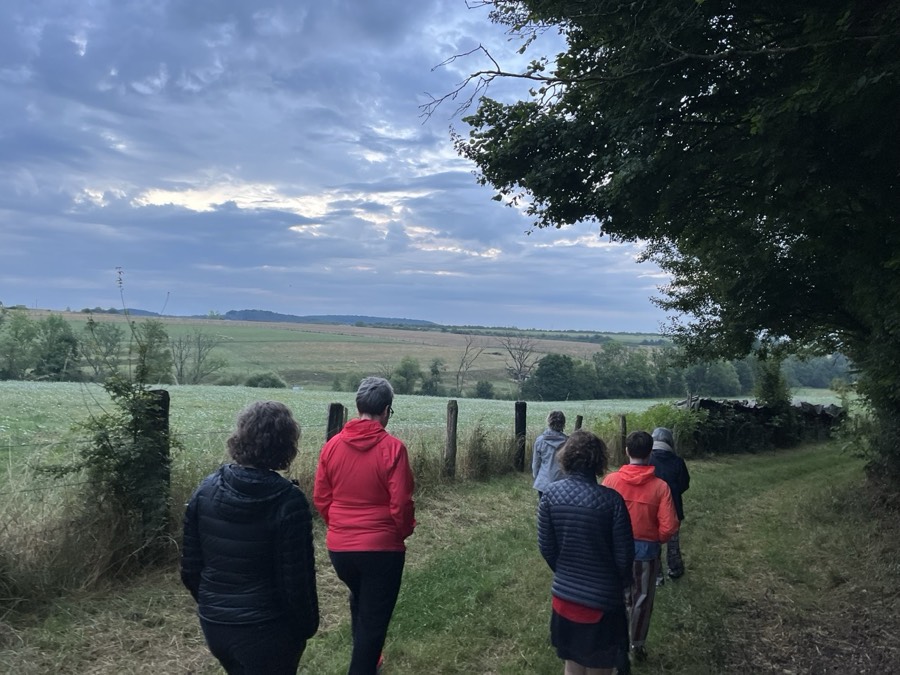 Promenade en campagne — Stage Construisez votre Royaume