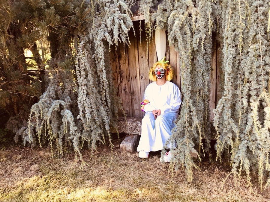 Clown dans la végétation